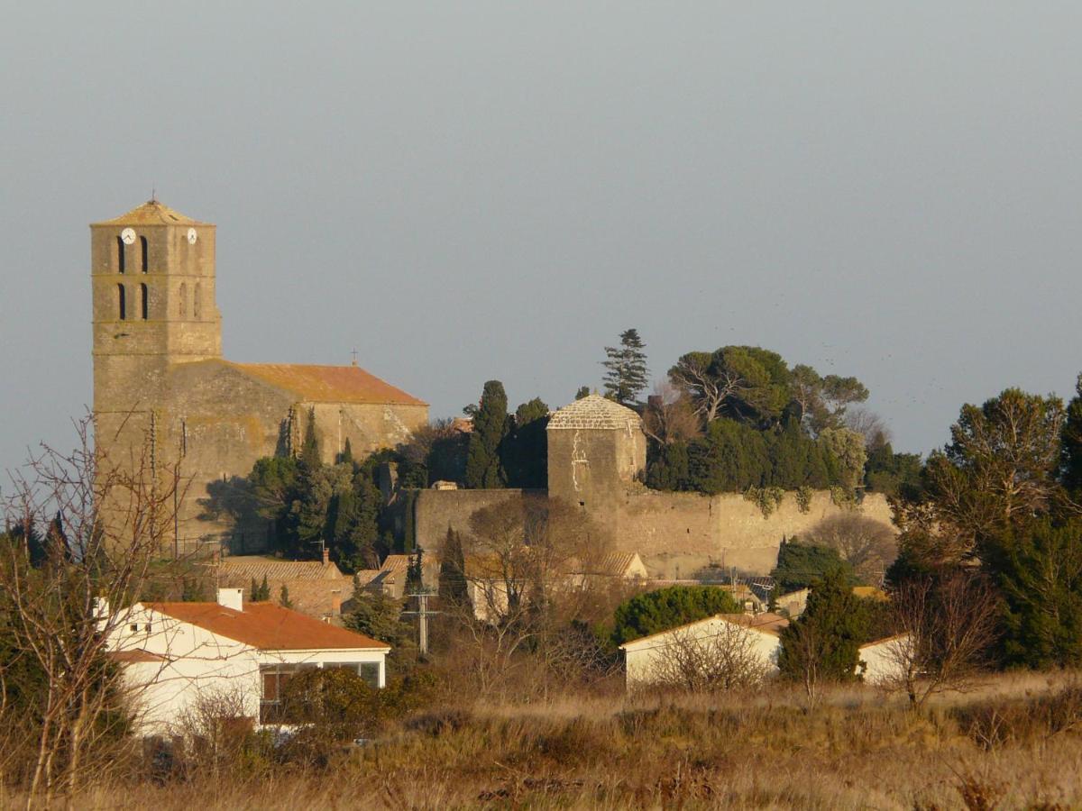 Chateau De Puicheric ภายนอก รูปภาพ